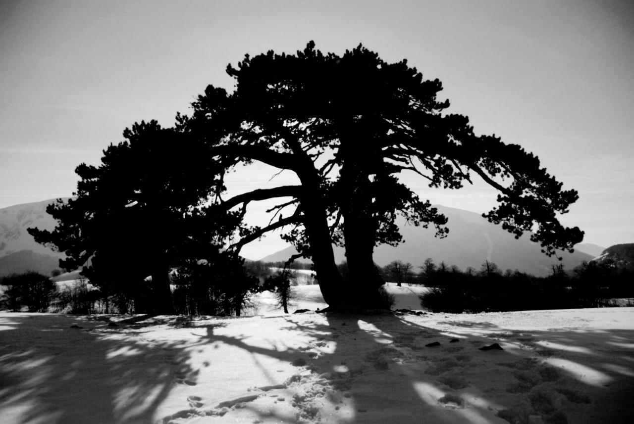 Tana Libera Tutti 2 Nature, Yourself, Love Viggianello Exterior foto